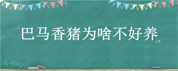 巴马香猪为啥不好养 巴马香猪好不好养