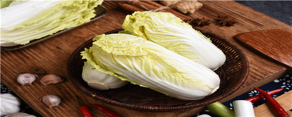 大白菜烂根的原因及防治方法 大白菜烂根是什么原因造成?