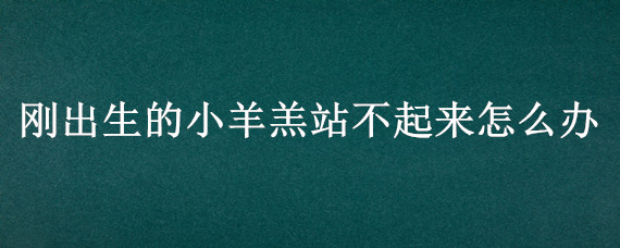 刚出生的小羊羔站不起来怎么办 小羊羔刚生出来站不起来怎么办