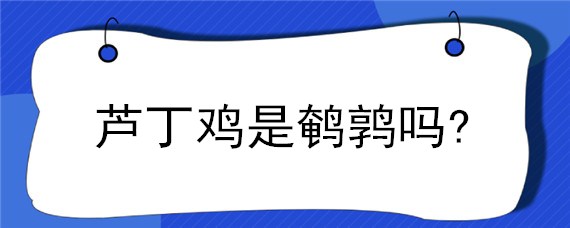 芦丁鸡是鹌鹑吗? 鹌鹑与芦丁鸡