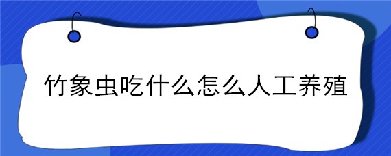 竹象虫吃什么怎么人工养殖 竹象虫人工养殖技术