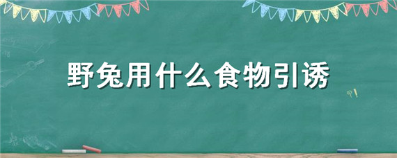 野兔用什么食物引诱 用什么可以引诱野兔