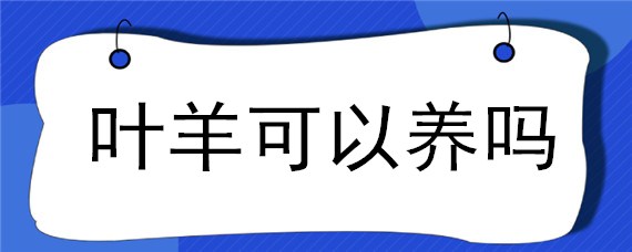 叶羊可以养吗（叶羊能养吗）