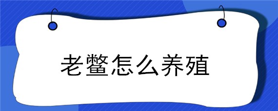 老鳖怎么养殖（家里养老鳖怎么养）