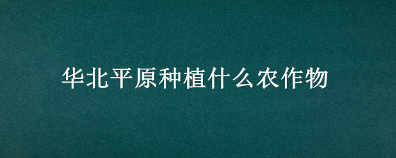 华北平原种植什么农作物（华北平原种植什么经济作物）