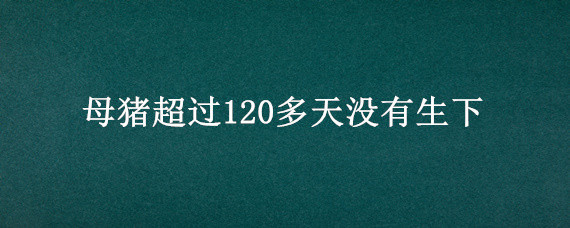 母猪超过120多天没有生下 母猪超过120多天没有生下是什么原因