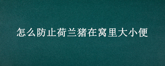 怎么防止荷兰猪在窝里大小便 怎么让荷兰猪不在窝里大小便