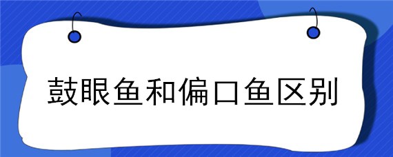 鼓眼鱼和偏口鱼区别（鼓眼鱼和偏口鱼的区别）