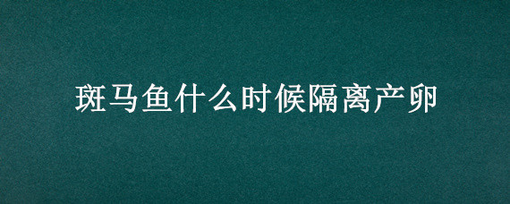 斑马鱼什么时候隔离产卵 斑马鱼产卵前为什么要跟公鱼隔开