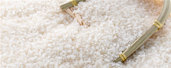 国标一级米有哪些稻种（国家一级米常规水稻长粒品种）