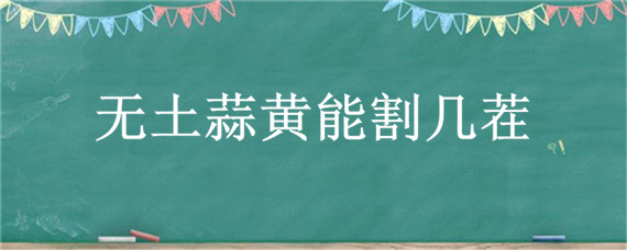 无土蒜黄能割几茬 一亩地需要多少蒜种