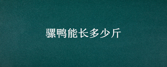 骡鸭能长多少斤 骡鸭长什么样