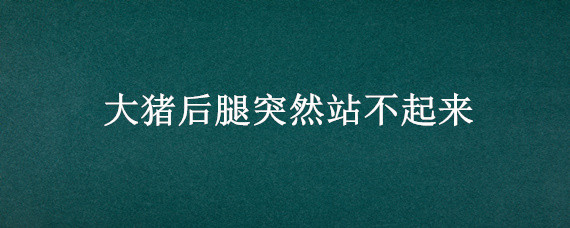 大猪后腿突然站不起来（大猪后腿突然站不起来喜欢睡在粪便里什么原因）