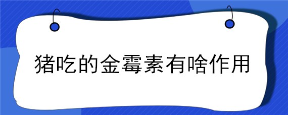 猪吃的金霉素有啥作用（猪服用金霉素的副作用）