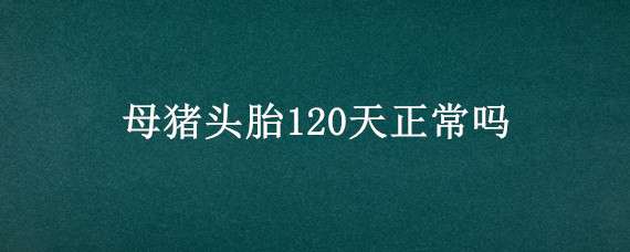 母猪头胎120天正常吗 头胎母猪120天不生产怎么办