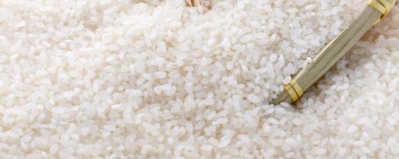 怎样保存大米一年不坏 怎样保存大米不坏