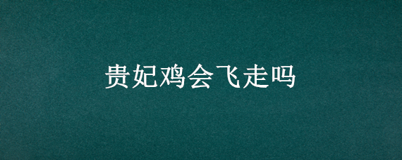 贵妃鸡会飞走吗（贵妃鸡散养都跑了）