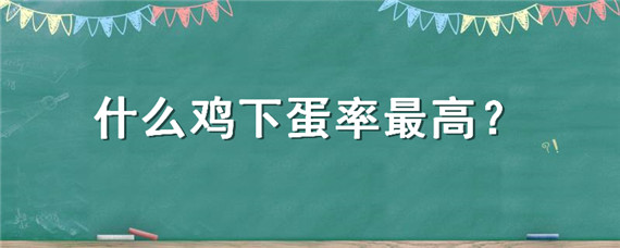 什么鸡下蛋率最高（什么品种的鸡下蛋率高）