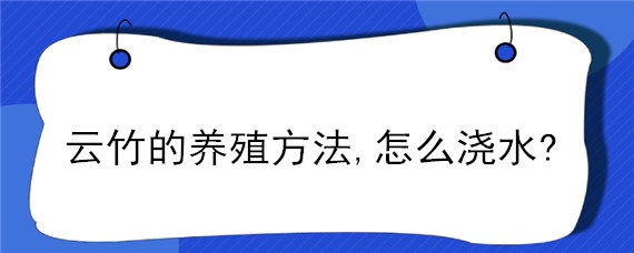 云竹的养殖方法,怎么浇水? 云竹的养殖方法,怎么浇水