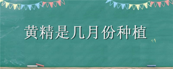 黄精是几月份种植（黄精适合什么时候种植）