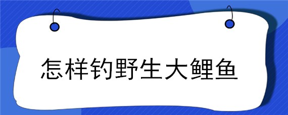 怎样钓野生大鲤鱼 钓野生大鲤鱼用什么饵料