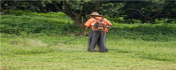 除草剂配水可以放多久 除草剂兑水后放多少时间不会失效