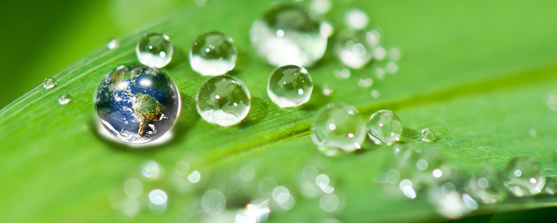 体会水和光对于植物生长的重要性（体会水和光对于植物生长的重要性作文二年级）