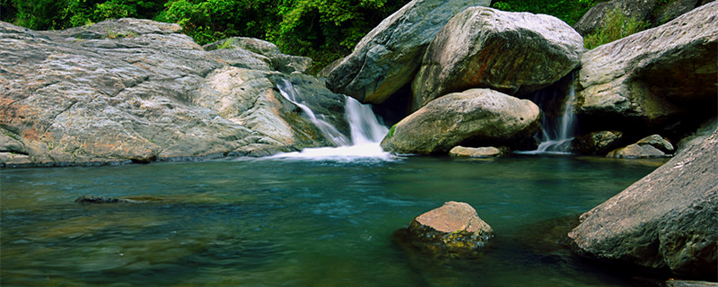 水绵是什么生物（水绵是什么生物成分）