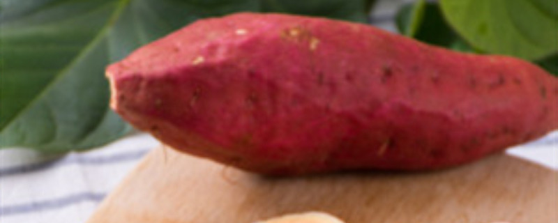 红薯种植方法和时间（种植红薯的时间）