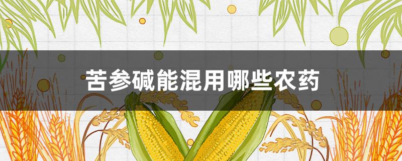 苦参碱能混用哪些农药 农药苦参碱的作用及使用范围