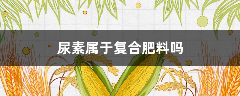 尿素属于复合肥料吗 尿素属不属于复合肥料