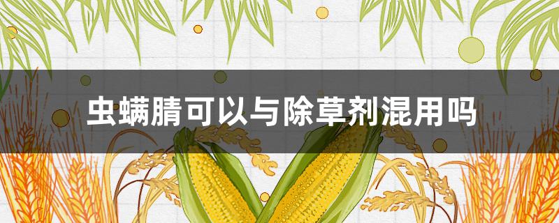 虫螨腈可以与除草剂混用吗（虫螨腈可以和除草剂一起用吗）