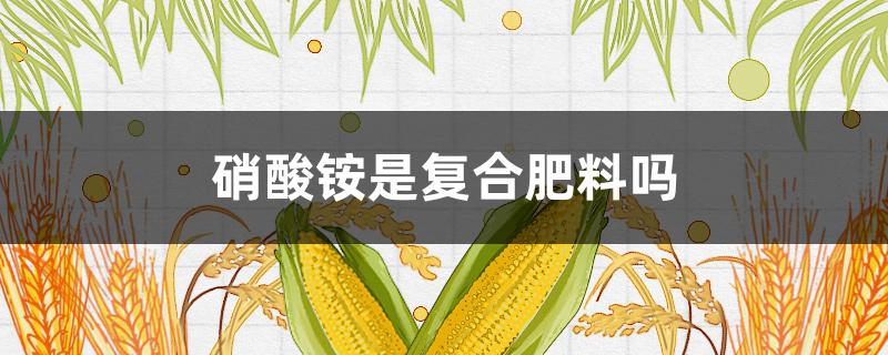 硝酸铵是复合肥料吗 复合肥料硝磷酸铵