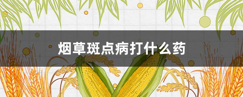 烟草斑点病打什么药（烟草斑点病用什么药治疗）