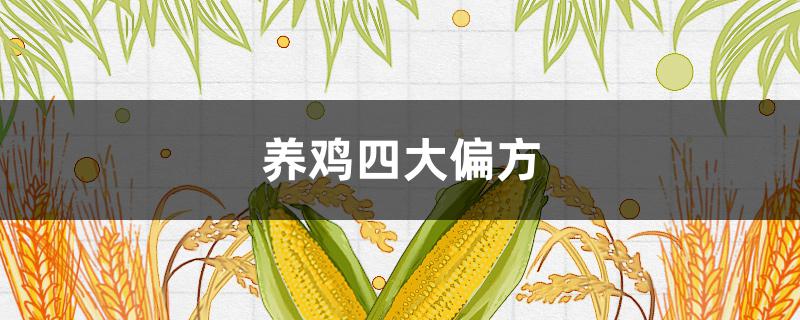 养鸡四大偏方 养鸡秘诀教你两招