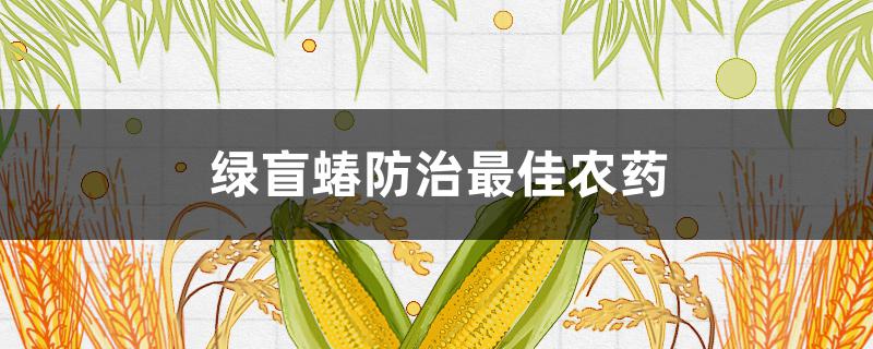 绿盲蝽防治最佳农药（果树绿盲蝽蟓用什么农药防治）