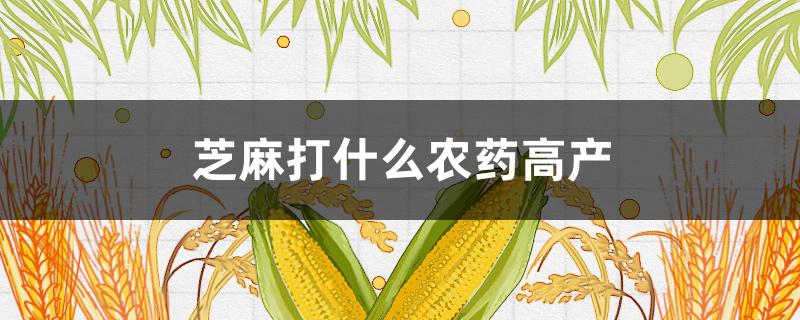 芝麻打什么农药高产 芝麻打什么农药好