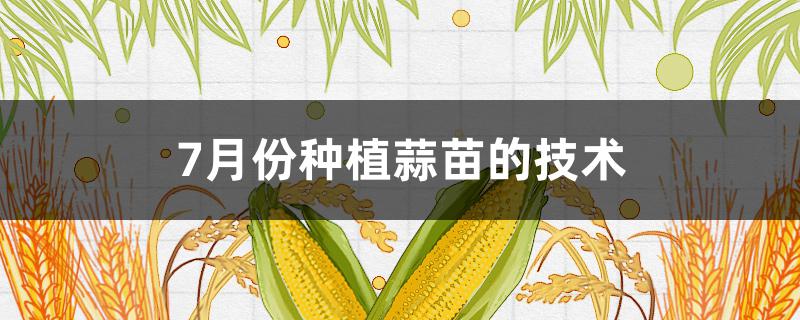 7月份种植蒜苗的技术 7月份种植蒜苗的技术研究