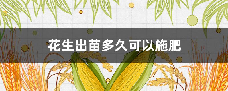 花生出苗多久可以施肥（花生出苗后施什么肥）