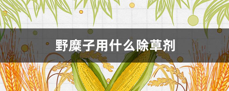 野糜子用什么除草剂（糜子用什么药除草）