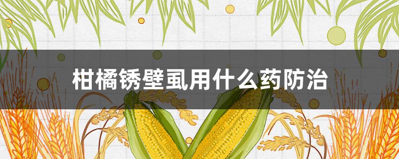 柑橘锈壁虱用什么药防治（柑橘木虱用什么药防治）