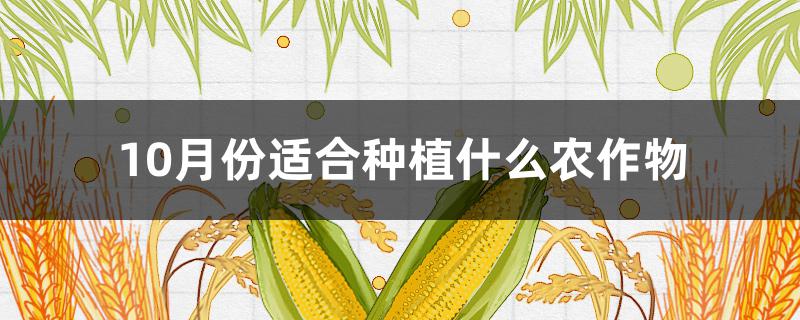 10月份适合种植什么农作物 十月份适合种植什么农作物