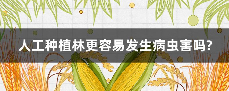 人工种植林更容易发生病虫害吗? 人工种植林为什么更容易发生病虫害