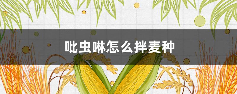 吡虫啉怎么拌麦种 吡虫啉可以拌麦种吗