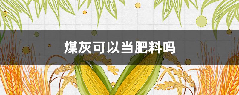 煤灰可以当肥料吗 烧完的煤灰可以拿来做肥料吗