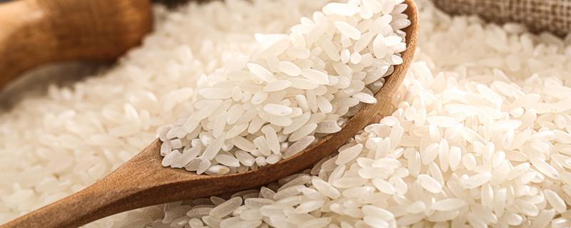 东北大米是杂交水稻吗（杂交水稻和东北大米）