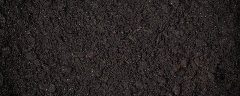 黑土是什么土 黑土是什么土壤质地