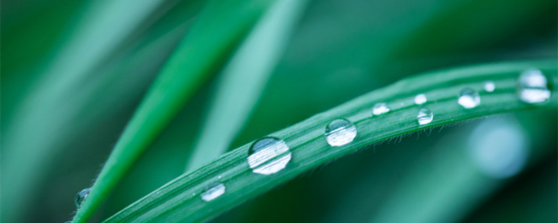 除草是什么季节（除草是什么季节做的农事）