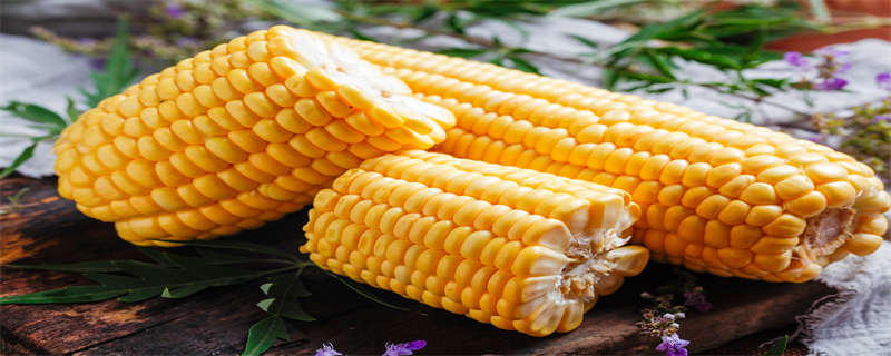 玉米深加工可以生产出哪些产品 玉米深加工能生产出哪些产品