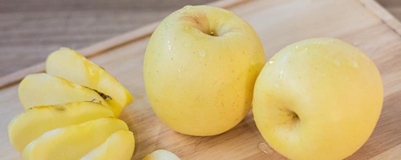 维纳斯黄金苹果怎样种植，附其特性 维纳斯黄金苹果种植技术